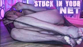 Stuck In Your Net 4k