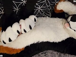 pawslut puppy gets back to back pawjobs with huge 2nd spunk flow at the end