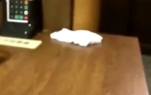 Japanese girl gets fingered in busy restaurant