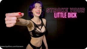 Small Penis Humiliation JOI