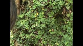 Shemale Queen Takes Control