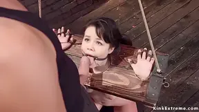 Hairy Pussy Trainee Gets Anal Fucked