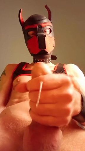 Pup Cherry cumming