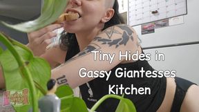 Tiny Hides in Gassy Giantesses Kitchen