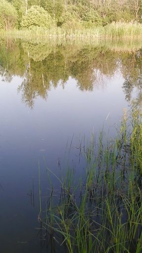 Transgirl Swimming in Clothes in Lake Wearing All Black: Pantyhose, Skirt and Top. Wetlook in Lake.