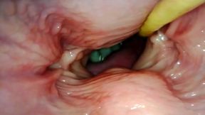 Amateur hotwife rides cock and takes it in the ass