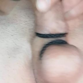 Ring penis