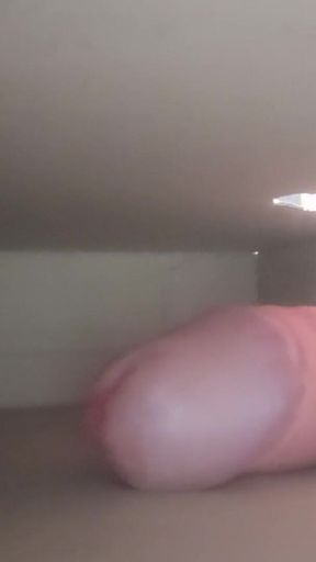 Dick in Box