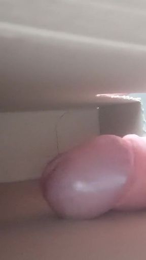 Dick in Box