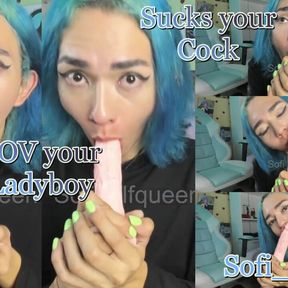 POV your ladyboy sucks your big cock