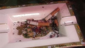 Masked chick wants to get eaten out and drilled hard