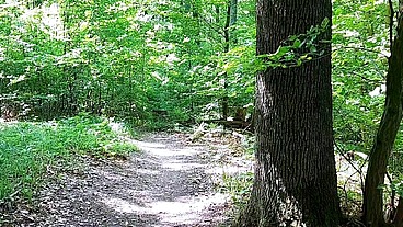 Quinn Way Touching Ass In Forest