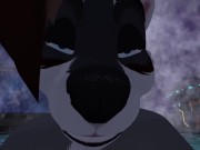 Space Raccoon Butt Invasion - POV Furry Sex