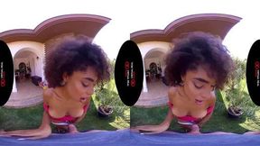 VirtualRealPorn com The affair