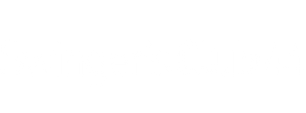 Swinger's Club vol.44