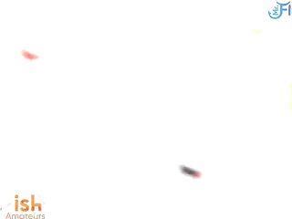 Trailer Gigi likes to have some joy and when there're multiple BBCs around that babe tens to take 'em at the same time. This trio scene between her and Beefy Dre with DatJGuy had alot of gracious moments