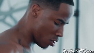 Black stallions fuck each other and their white friend
