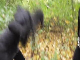 Femdom Bratis dominate slaves public