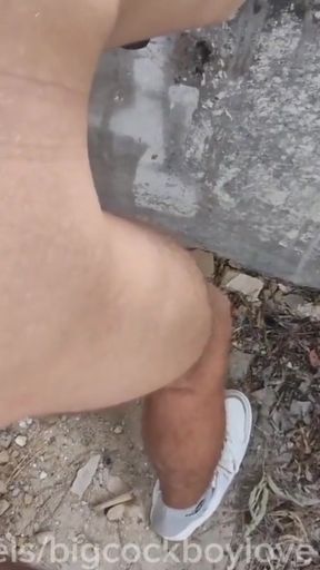 Spectacular moment from &quot;A lost boy gets fucked hard and bareback by a random daddy on a cruise&quot;