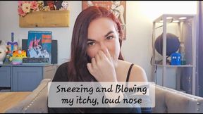 Sneezing and Blowing my itchy, loud nose