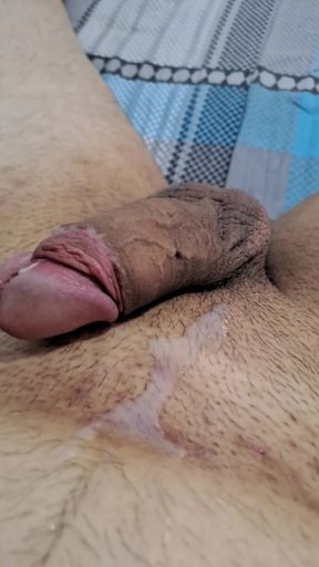 Xalaroseis