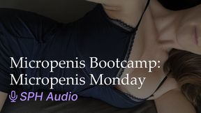 Micropenis Bootcamp: Micropenis Monday