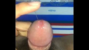 Dương Vật Thủ D&acirc_m