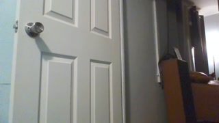 Split Me Open and Fill Me Up