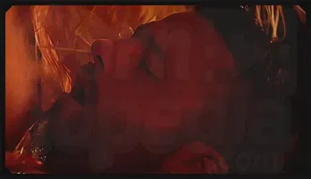 Oiled Angel Wicky’s Sensual Doggy & Pussy Licking