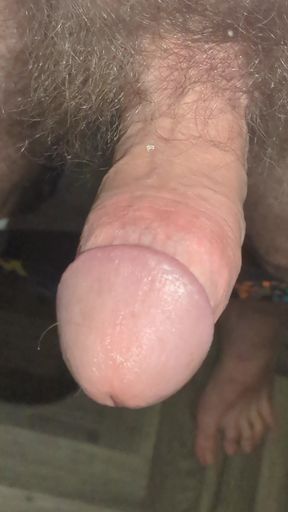 To Cum in the Toilet