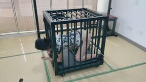 female submissive confinement and training in a cage