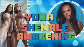SHEMALE AWAKENING- MistressRavenFD gives you JOI and a cum countdown to images of shemales