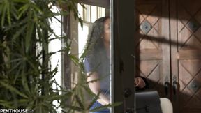 Squeaky Chanell Heart and Mike Mancini's penthouse dirt