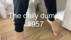 The daily dumps #957 mp4