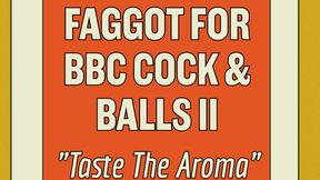 Faggot For BBC Cock And Balls II Erotic Dirty Talk Humiliation Audio Only