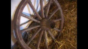 Double Penetration in the Farm with Cumshot in the Mouth for Two Horny Sluts