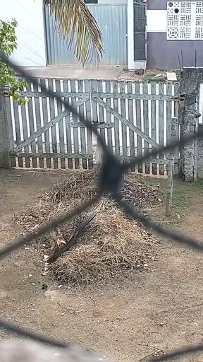 My wife totally naked relaxing in front yard   Clip 1