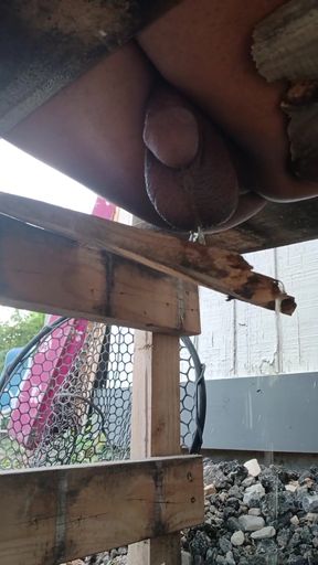 Powerful moment from "watch my pee pee bench"