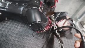 Human-dog restraint neck hanging balloon training