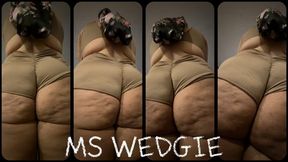 Her picture perfect wedgie