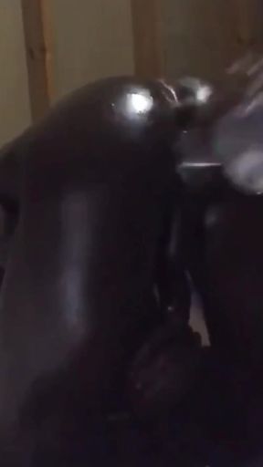 Black Breeders Adventures 228
