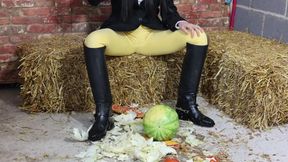 Raw cowgirl Louisa ravishing her juicy melons while donning fetish ankle-high boots