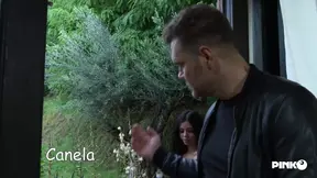 Explosive DP with Canela Skin and two studs