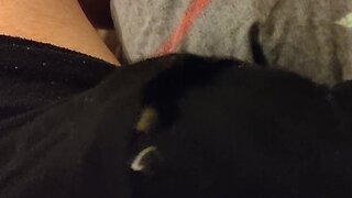 Male cums loudly with toys and vibrator: headphone warning!