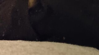 Male cums loudly with toys and vibrator: headphone warning!
