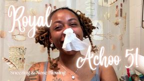 Temptress Mango's Royal Achoo 5! - Sneezing and Nose Blowing
