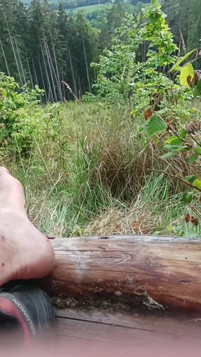 Jerking off on a Hill Overlooking My Dick