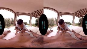 VirtualRealGay com The gardeners powertools