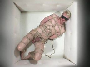 Bondo Gods 5