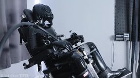 THE GIMP EXTRACTION LAB